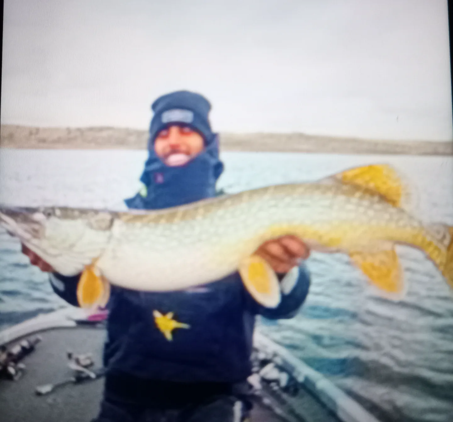 Pêche mondiale : l’OMC serre la vis aux pratiques illégales