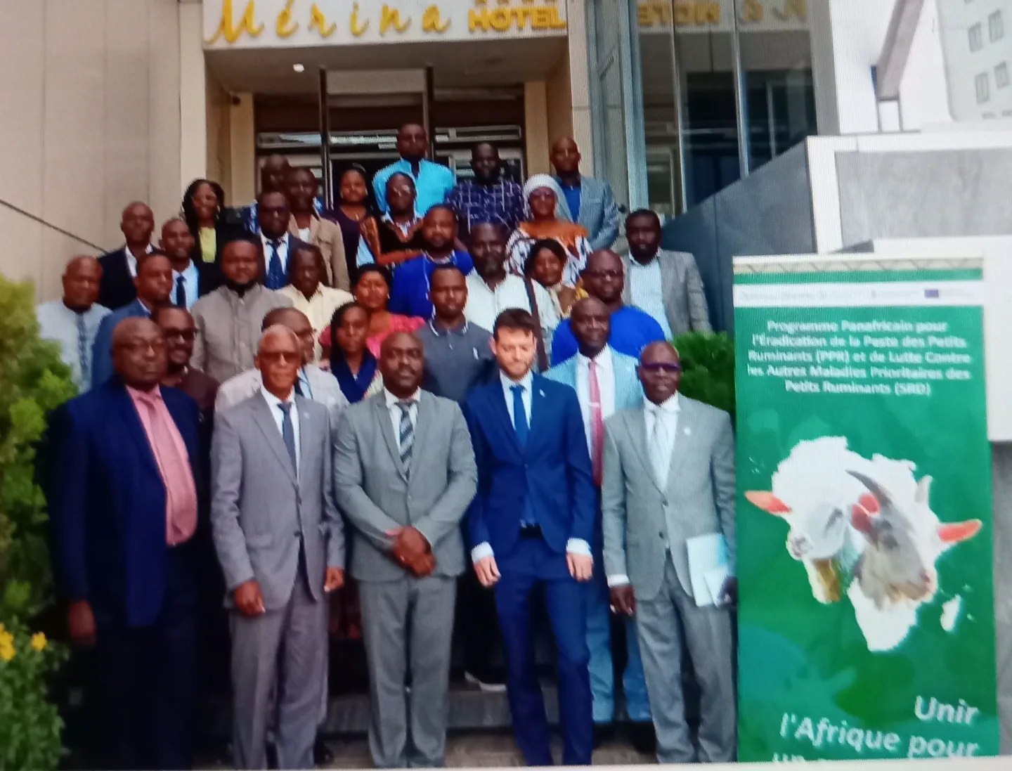 Santé animale en zone CEEAC : Un front commun contre la Peste des Petits Ruminants à Yaoundé