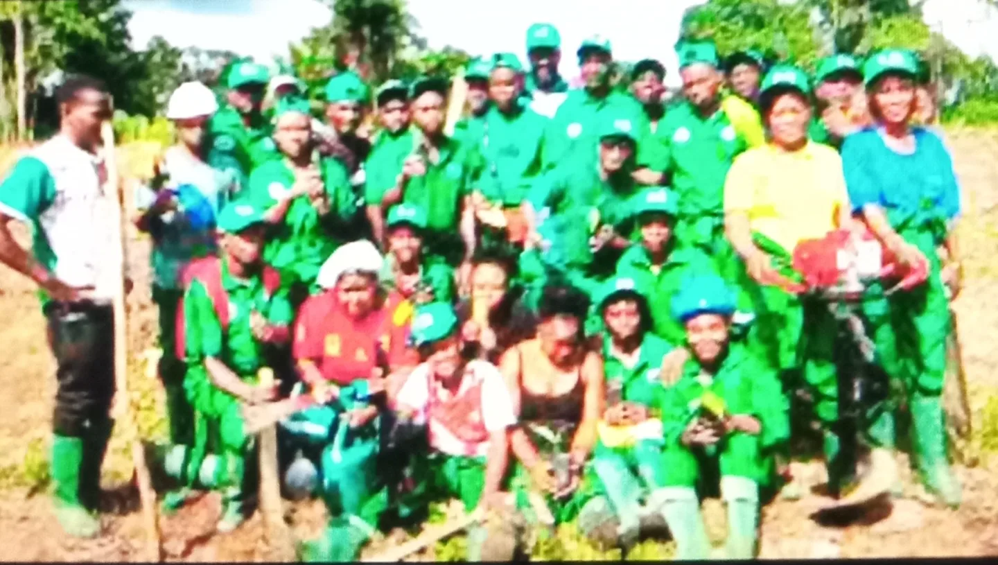 La "Promotion Paul Biya" : Un nouveau levier pour la filière banane plantain au Cameroun