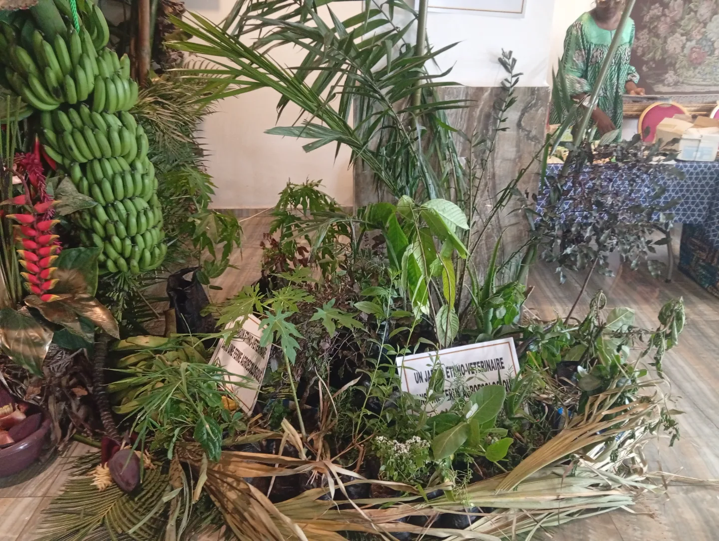 Transition écologique en Afrique centrale : La Déclaration de Yaoundé consacre l’agroécologie comme pilier de la souveraineté alimentaire et du climat